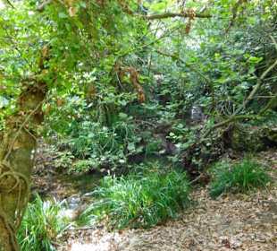 Mili Gorge Impression