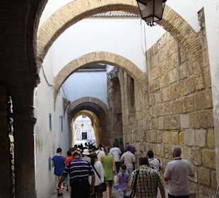 Auf dem Weg zur Medina
