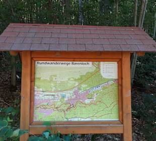 Bärenlochweiher in Kindsbach