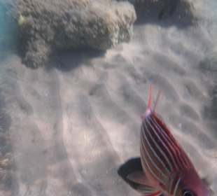 Hotel BEACH Albatros Resort & Spa