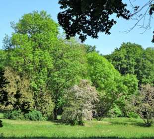 Rundgang durch den Hinüberscher Garten