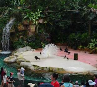 Singapur Zoo