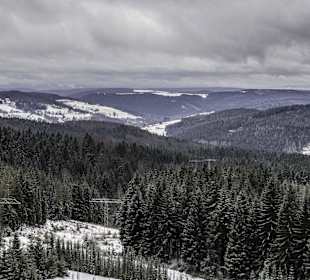 Blick auf`s Vogtland