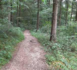 Hochgeträumt Premiumwanderung