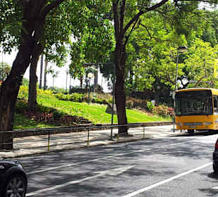 Viel Grün in der Stadt