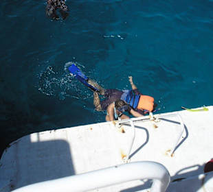 Erster Schnorchelstop