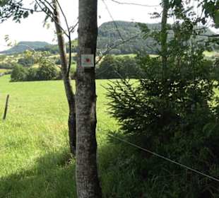 Premiumspazierweg Früchtetrauf-Leisawegle