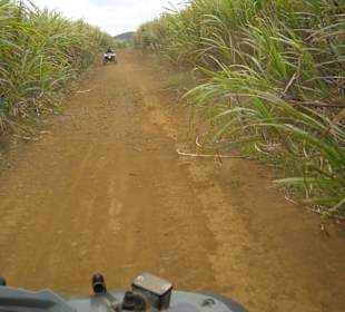 Es wird gerne mal staubig :-))