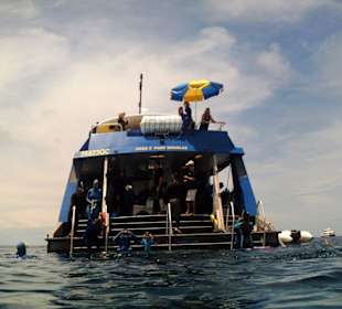 HABA Schnorchel-Tour ins Reef