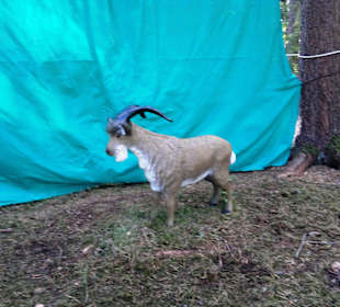 Neues im Kletterwald 09-2012