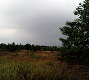 Reicherskreuzer Heide in Schlaubetal