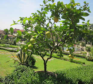 Garten und Villa Garzoni in Collodi