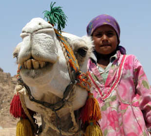 Z wizytą w wiosce beduińskiej