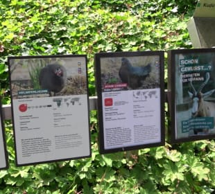 Zoo Heidelberg