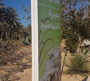 Krokodilfarm Animalia