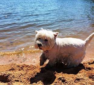 Das macht echt Spass