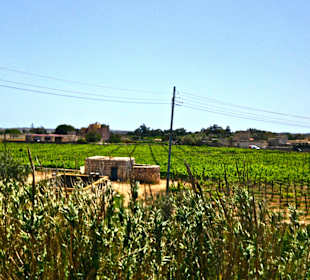 Countryside Malta