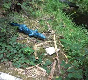 Dinosaurier Museum Altmühltal