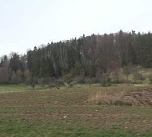 Unterjesinger Wengertwegle