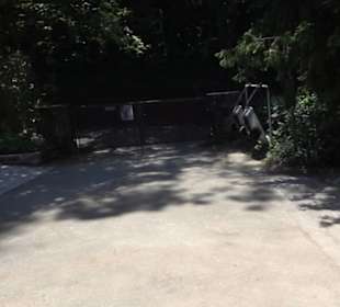 Friedhof Unterjesingen