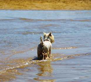 Bei den Buchten am Leuchtturm