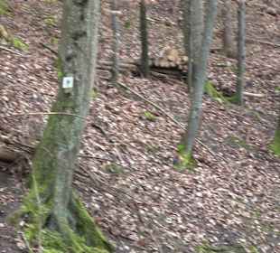 Unterjesinger Wengertwegle