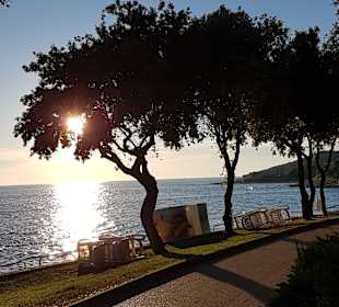 Strand Vrsar