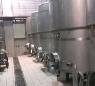 Führung Weinkellerei Boutari