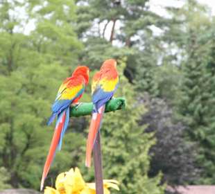 Vogelpark Walsrode