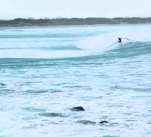 Strand La torche