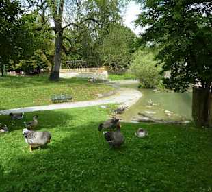 Idyllisches Plätzchen im Zoo