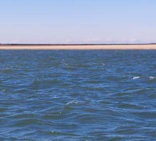 Bootstour Ria Formosa