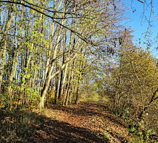 Eindrücke vom Rundweg durch den Volkspark Bokel