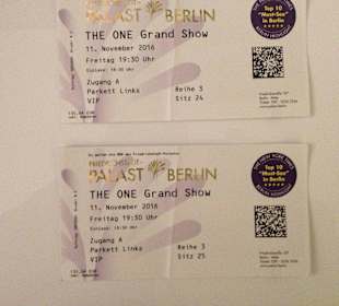 The One Grandshow VIP-Ticket