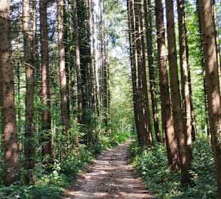 Willersdorfer Schluchtweg