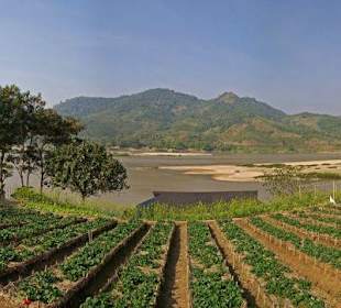 Panorama 180° vom Mekong