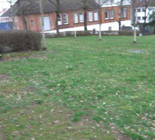 Friedhof Neckarhausen