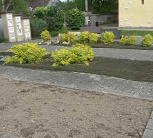 Friedhof Ohmenheim