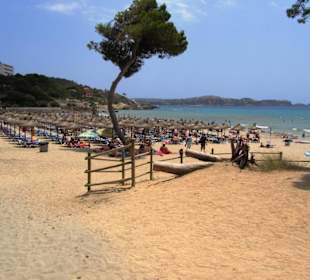 Strand in Paguera