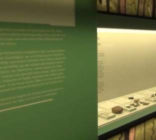 Niedersächsisches Landesmuseum