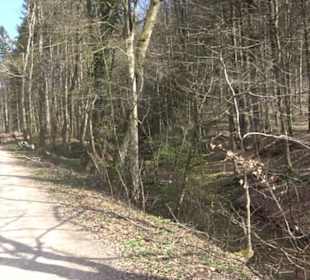 Geologischer Lehrpfad Kirnbachtal