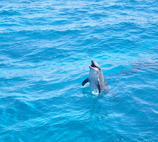 Sonnenuntergangstour