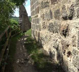 Burgruine Niederhaus