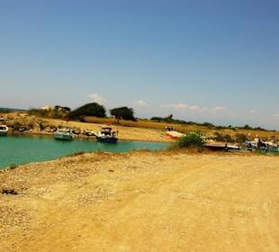 Seht euch diese Natur an...