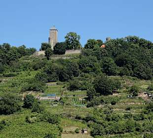Starkenburg Heppenheim