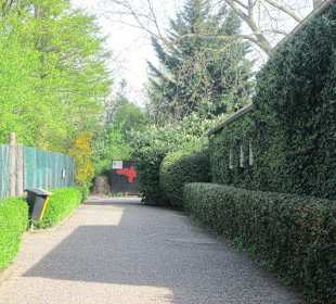 Zoo Heidelberg 