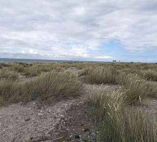 Strand Fehmarn