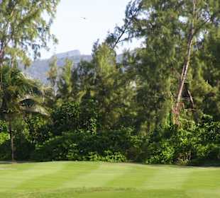 Auf dem Golfplatz der Insel
