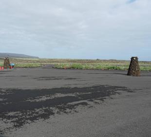  Jameos del Agua Cesar Manrique