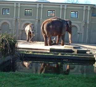 Zoologischer Garten Köln